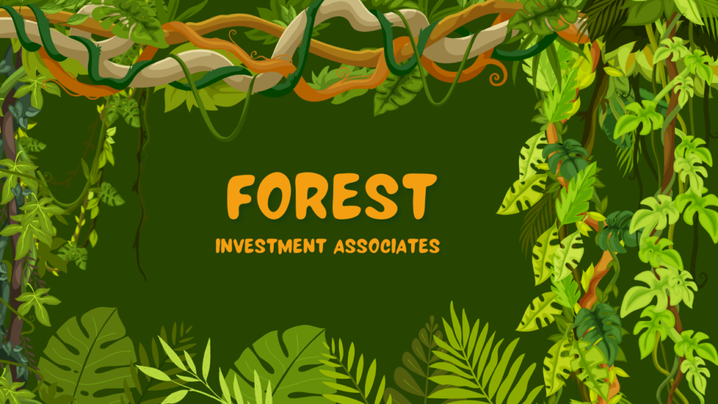 Investing Beyond Borders: How Forest Investment Associates are Paving the Way to Global Prosperity